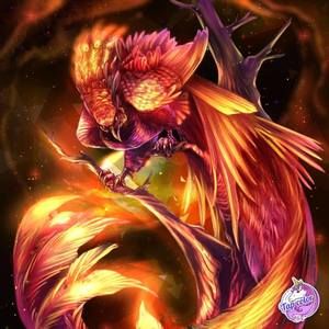 Meet your Posher, Sean